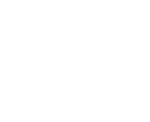 B. Coleman Aviation - Chicago's FBO!